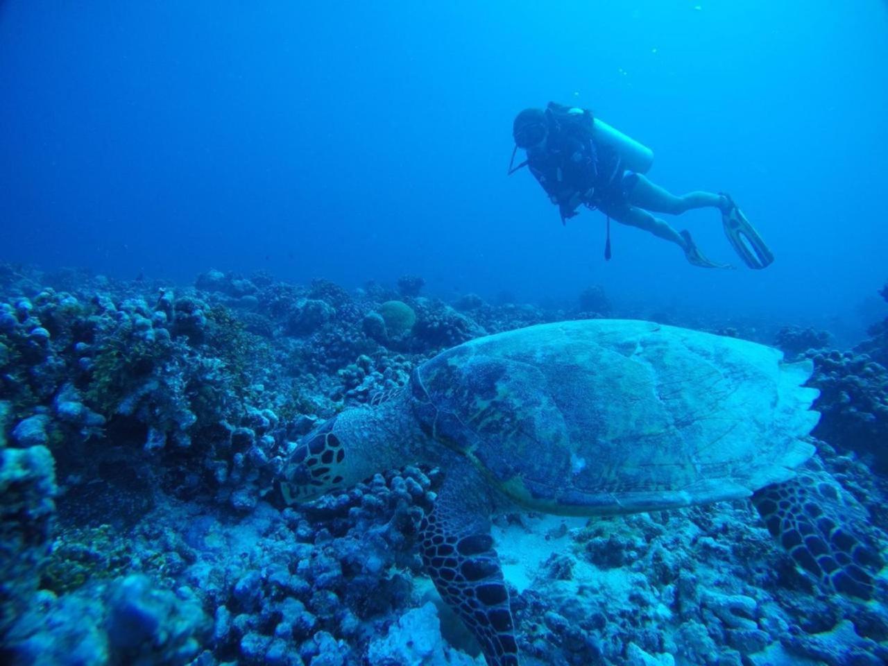 Hotel Sandy Heaven Maldives Gulhi Esterno foto